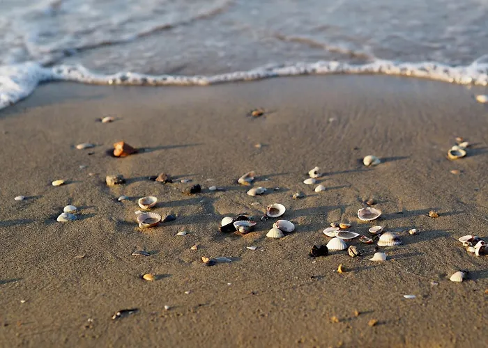 Daire Rooftop Pool And Sea Nearby-beahost